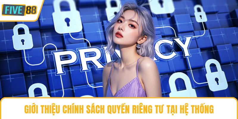 Giới thiệu chính sách quyền riêng tư tại hệ thống