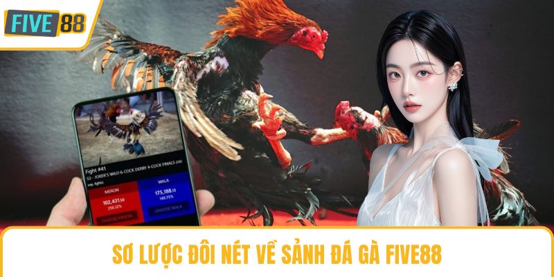 Sơ lược đôi nét về sảnh đá gà Five88